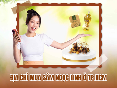 TOP 1 địa chỉ mua sâm Ngọc Linh ở TP.HCM uy tín - giá hợp lý
